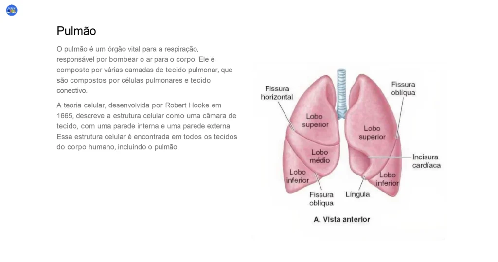 Aulas Prontas de Ciências 6º ao 9º Ano - Imagem 6
