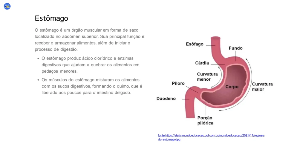 Aulas Prontas de Ciências 6º ao 9º Ano - Imagem 5