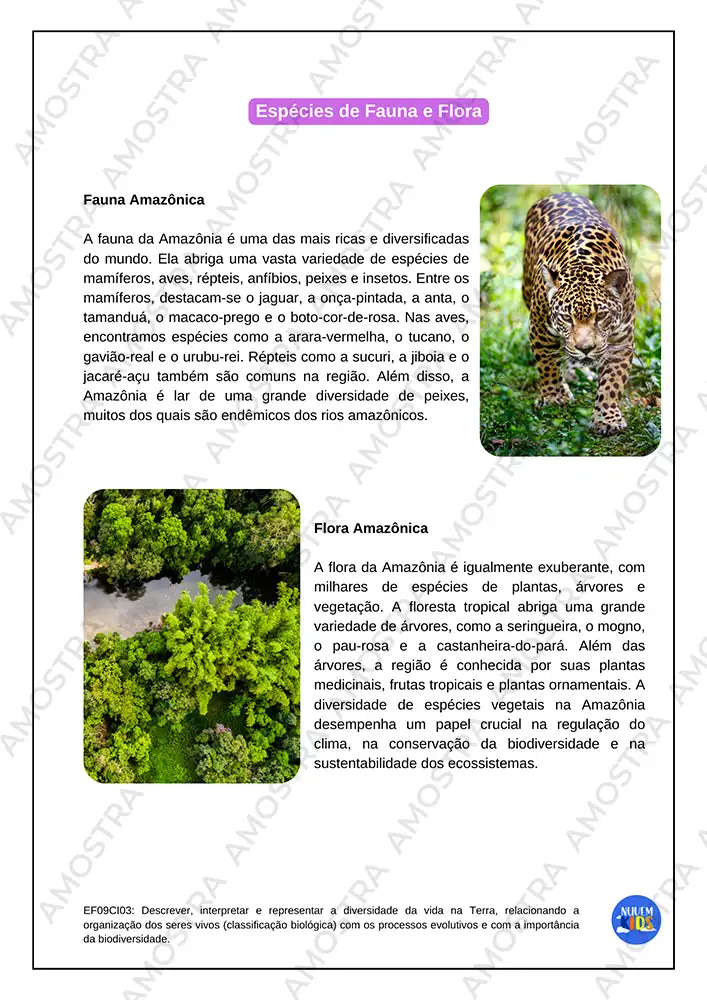Atividades de Estudos Amazônicos 6º ao 9º Ano - Imagem 2