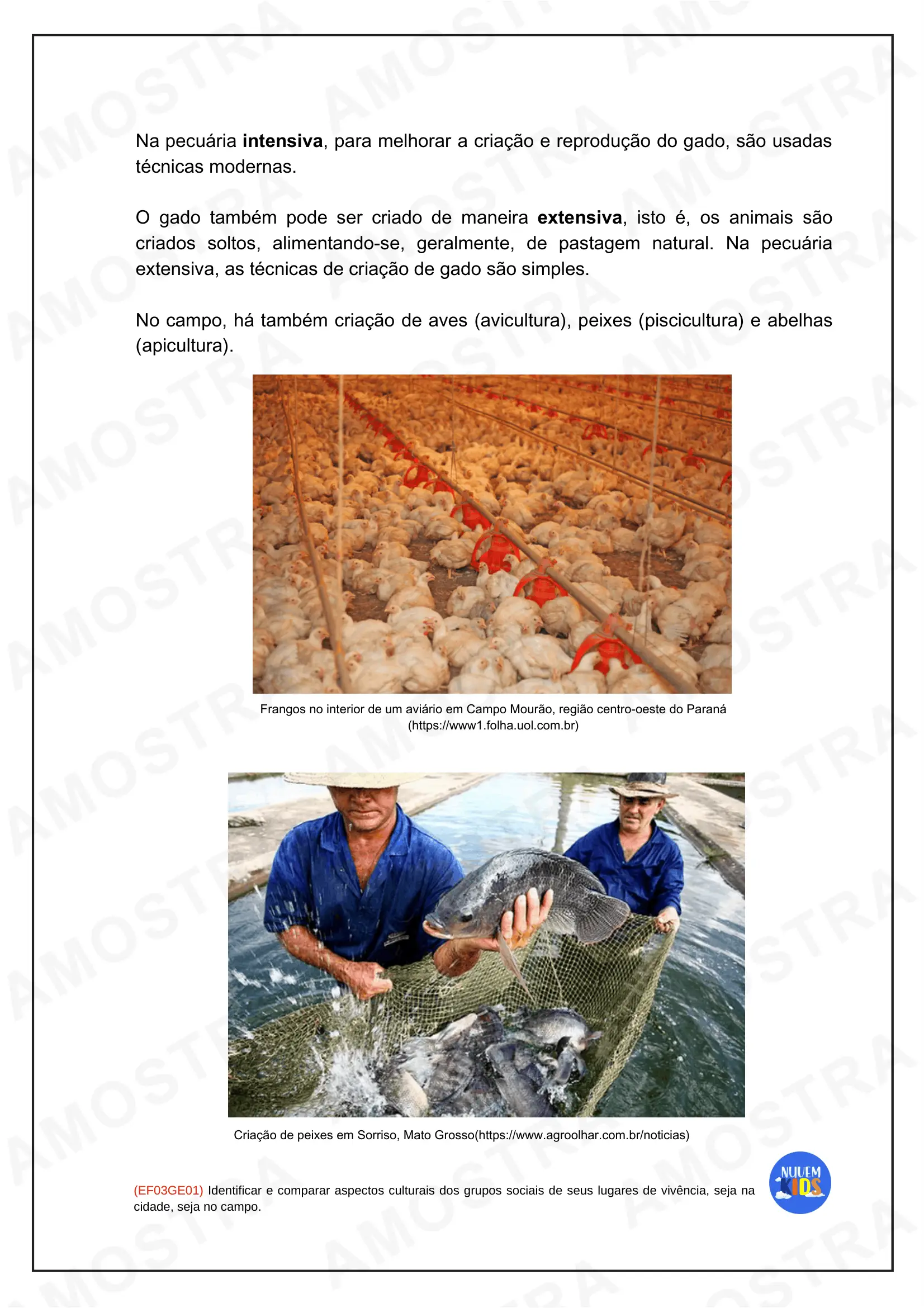 Atividades do 3º Ano do Fundamental 1 - Imagem 13