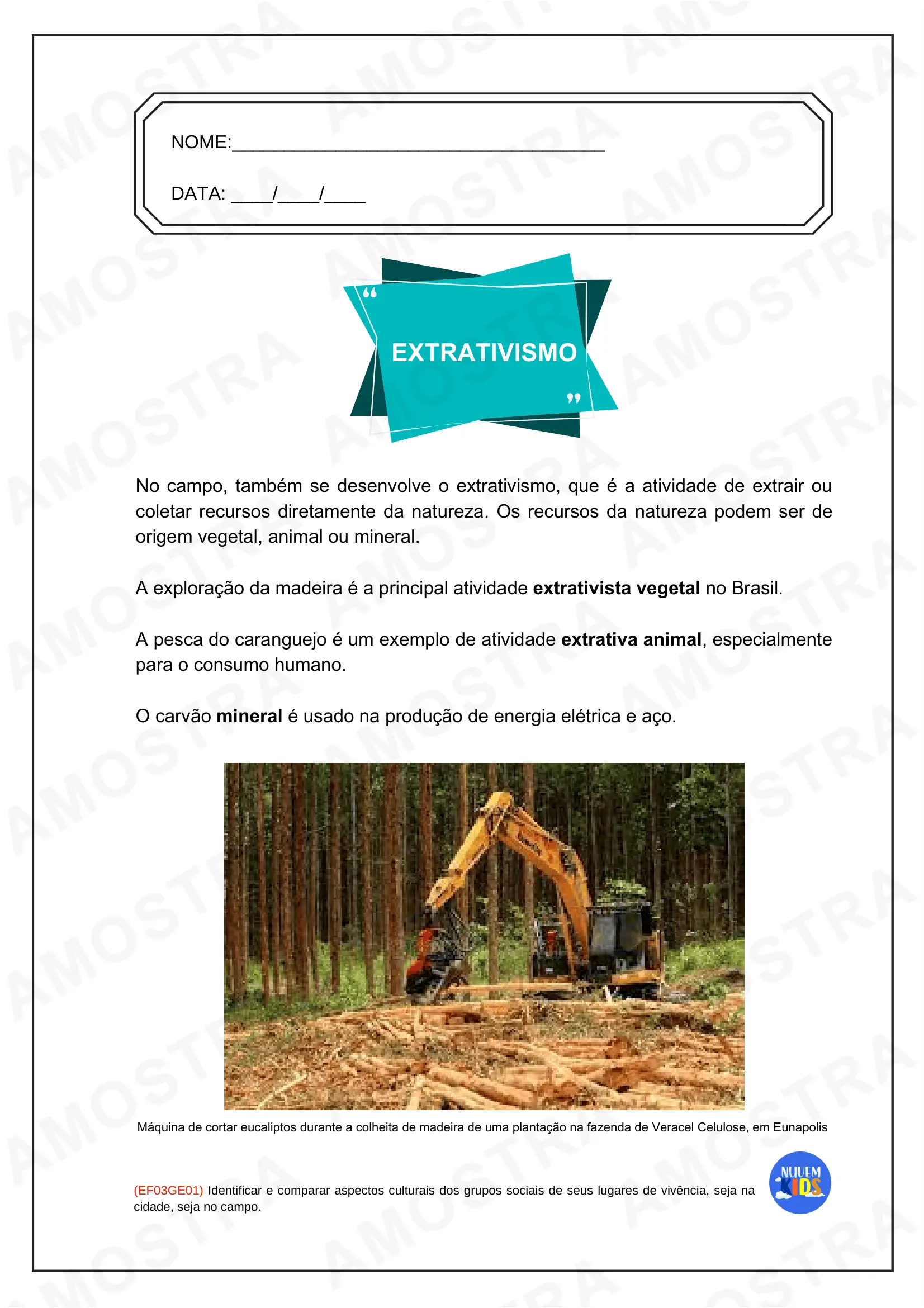 Atividades do 3º Ano do Fundamental 1 - Imagem 14