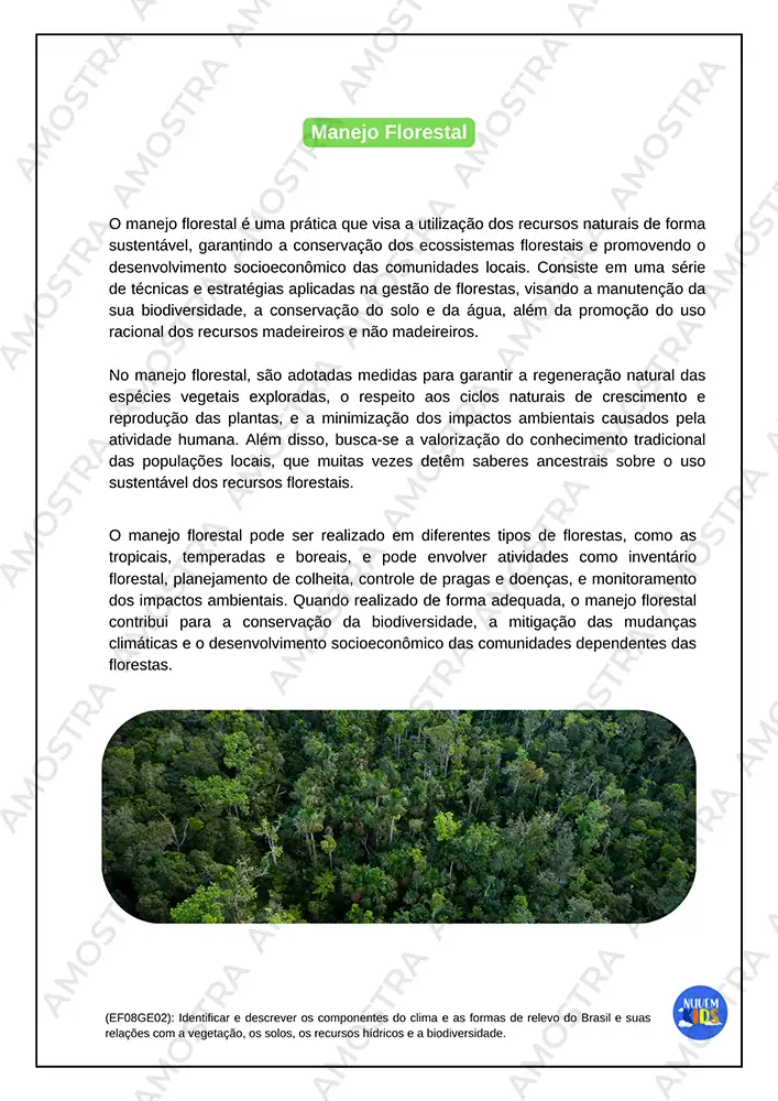 Atividades de Estudos Amazônicos 6º ao 9º Ano - Imagem 7