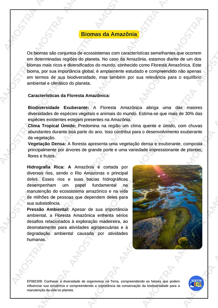 Atividades de Estudos Amazônicos 6º ao 9º Ano - Imagem 4
