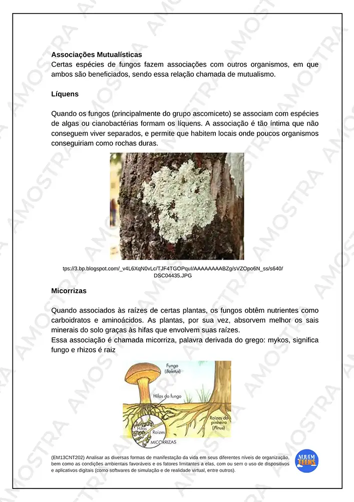 Atividades de Biologia Ensino Médio - Imagem 5