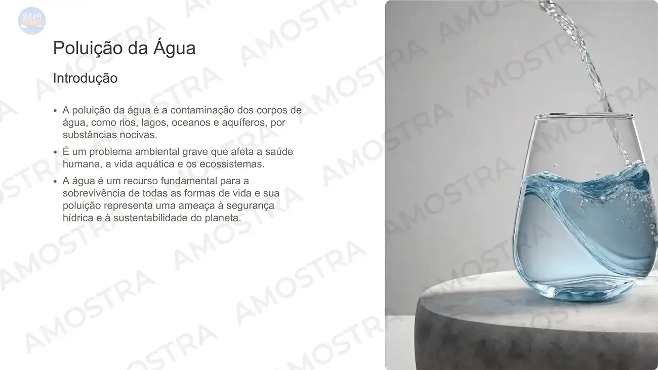 Aulas prontas de Sociologia 1º ao 3º Ano - Imagem 4