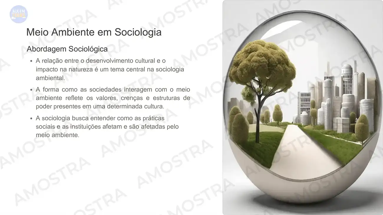 Aulas prontas de Sociologia 1º ao 3º Ano - Imagem 2
