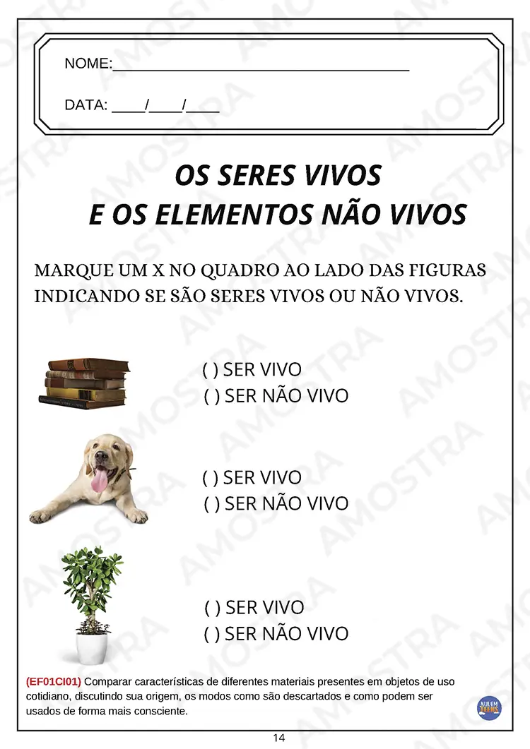 Atividades de Ciências para EJA do Fundamental 1 - Imagem 7