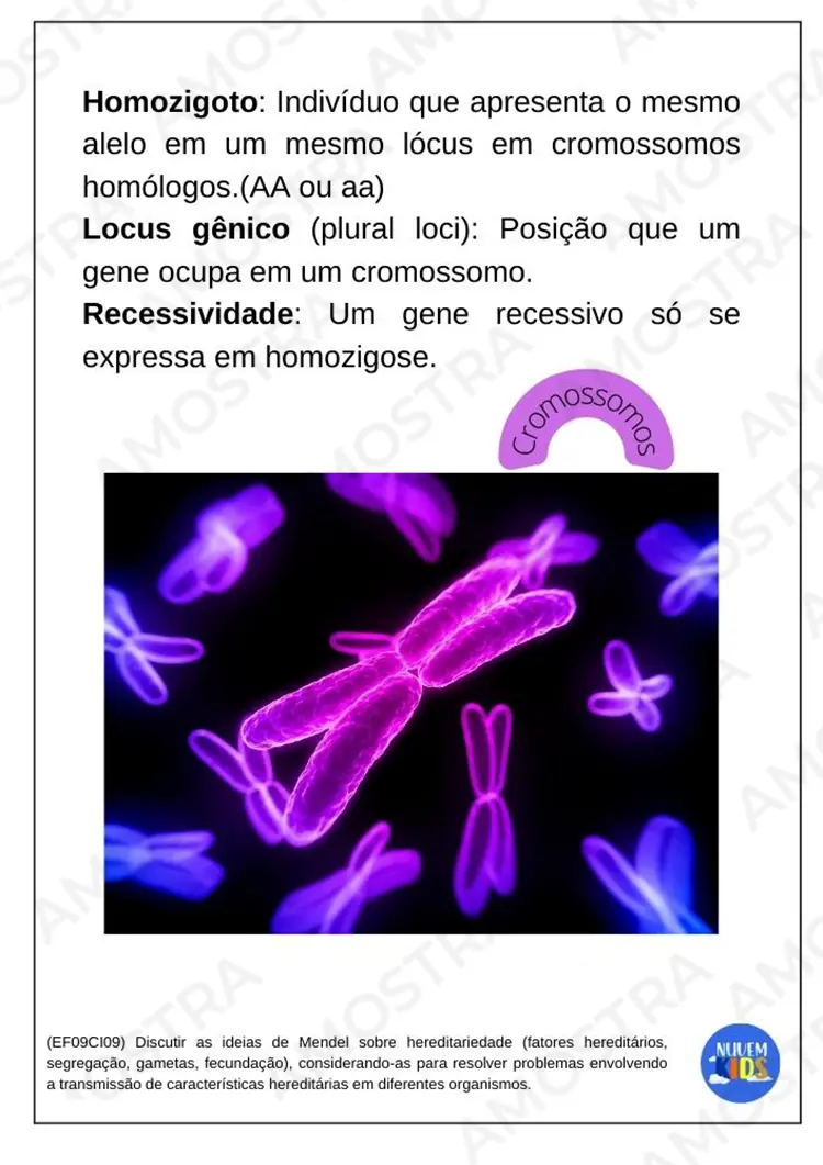 Kit de Atividades para Ciências 6º ao 9º Ano - Imagem 4