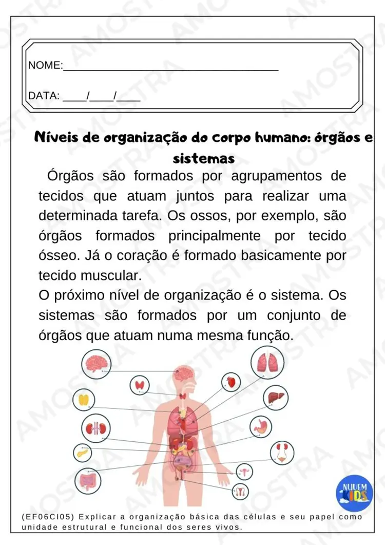 Kit de Atividades para Ciências 6º ao 9º Ano - Imagem 7