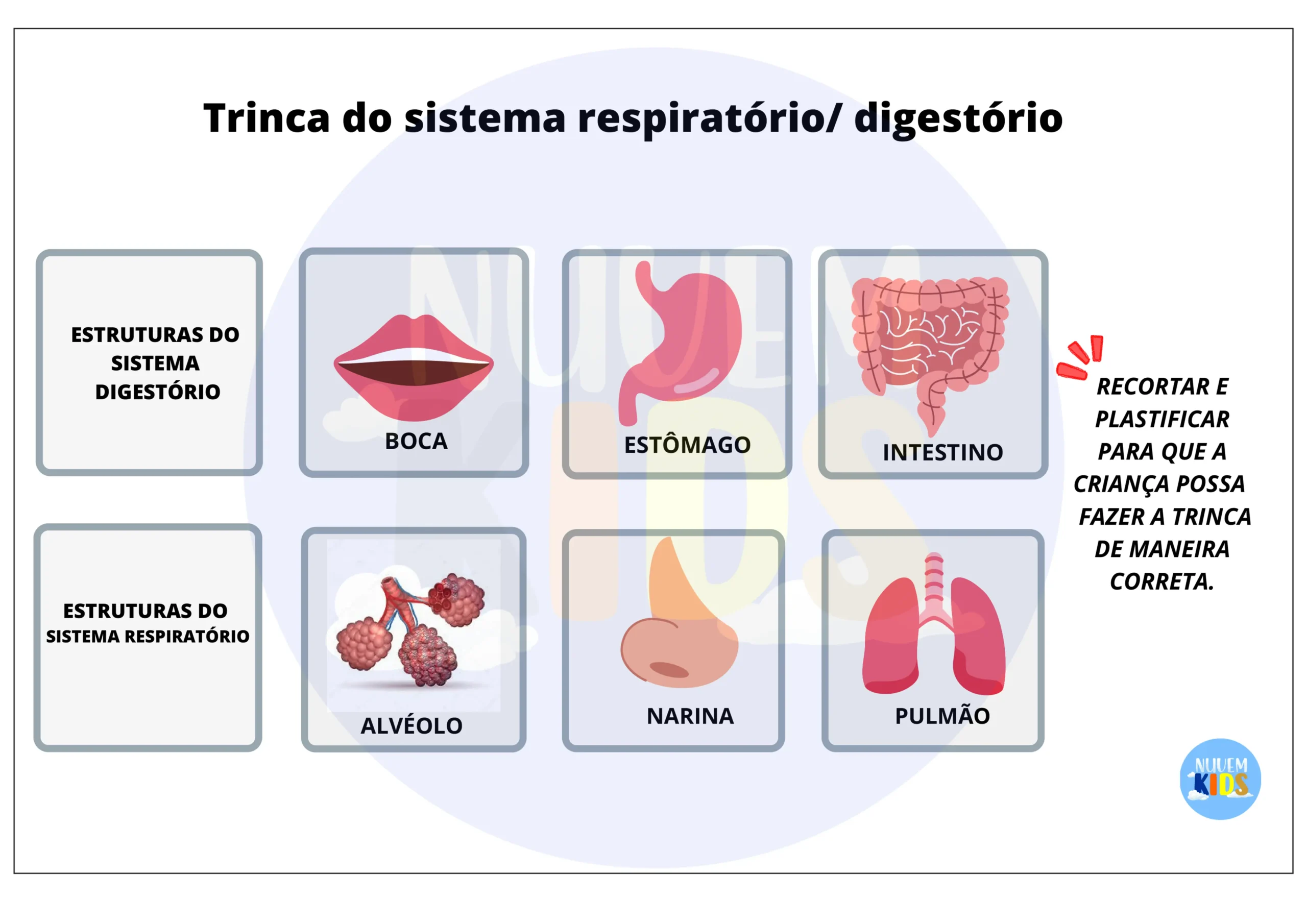 Jogos Pedagógicos de Ciências para Fundamental 1 - Imagem 8