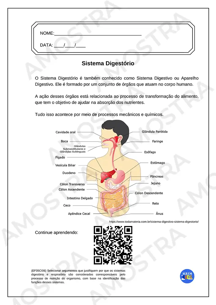 Atividades do 5º Ano do Fundamental 1 - Imagem 2